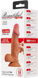 Dildo Dildo