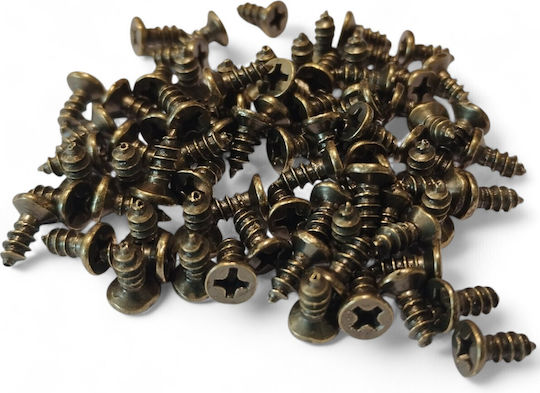 Βίδες Αντικέ 8mm – Συσκευασία 10g 80 Τεμάχια