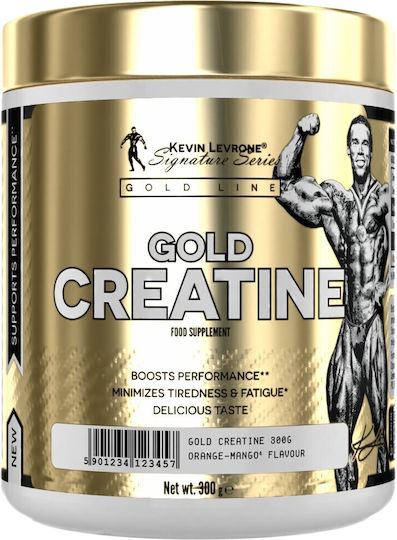 Kevin Levrone Gold Line Creatine Fruit Punch 300гр