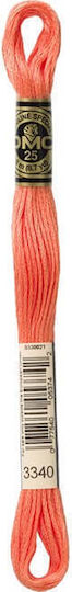 Stickgarn Mouline Dmc 117 Pfirsich 3340