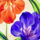 Decoupage Servietten Orange Blaue Tulpen 33x33cm