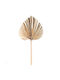 Artificial Palm Leaf Serenoa 2081-7 25x25x60cm Natural Supergreens Fabric Plastic