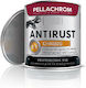 Pellachrom Antirust Chassis Primer Suitable for Metal