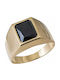 Chevalier Ring with Zircon made of Gold 9K