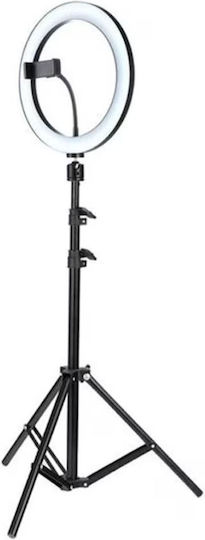 Ring Light Led Circular Lamp Nextly 30cm Diameter 12 Inch Warm