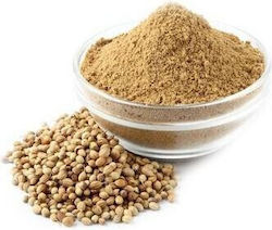 Herbstore Coriander