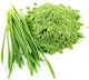 Gerstengras Bio Pulver 50gr