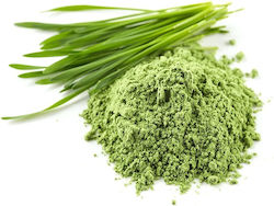 Herbstore 