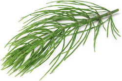 Horsetails 70gr