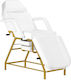Salon Tech Beauty Chair with Adjustable Height