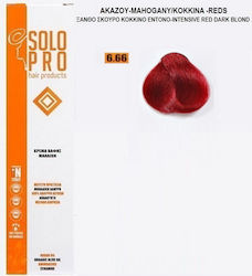 Solo Pro 6.66 Solo Pro 6.66