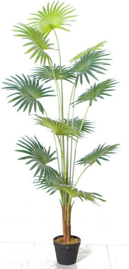 Supergreens Künstlicher Baum Pitssardia Grün 150 cm