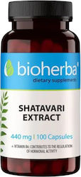 Bioherba Shatavari Аюрведичен Женски Ревитализатор 440мг 100 Капсули Bioherba Shatavari Аюрведичен Женски Ревитализатор 440мг 100 Капсули