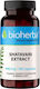 Bioherba Shatavari Ayurvedic Female Rejuvenator 440мг 100 капси