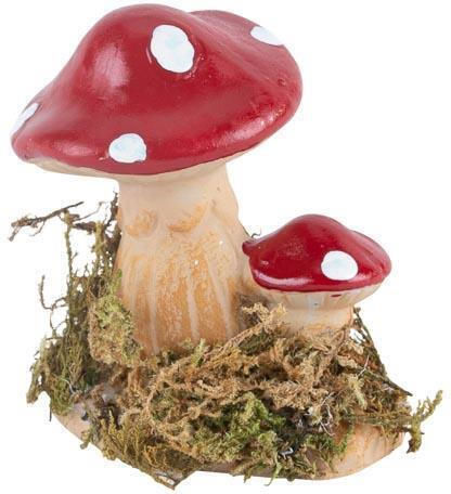 Beauty Home Polirășină 5x5x6cm 1buc