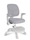 Desk Chair with Armrests Gray