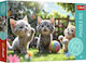 Kids Puzzle Kittens Treflik Family 60pcs Trefl