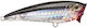 Yo-Zuri 3d Inshore Popper Τεχνητό Δόλωμα Popper 7εκ./8.5gr C4