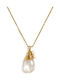 Paraxenies from Gold Plated Silver