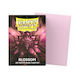Dragon Shield Standard Size Matte Dual Card Sle...