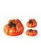 Ceramic Decorative Pumpkin 33x18.5cm 2 Designs
