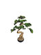 Arbore Artificial de Exterior Bonsai Microscop Green 68cm Marhome