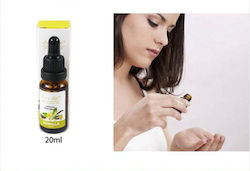 Spring Aromatisches Öl Vanille 20ml Spring Aromatisches Öl Vanille 20ml