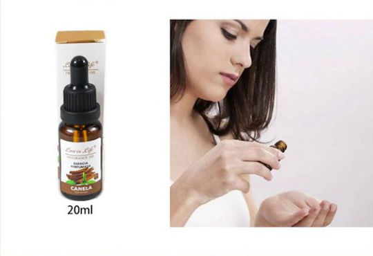 Spring Ätherisches Öl Zimt 20ml