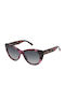 Nina Ricci Damen Sonnenbrille mit Braun Schildkröte Kunststoff Gestell und Gray Verlaufsfarbe Linse SNR3755309SJ
