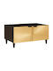vidaXL Kaffeetisch Zentral aus Massivholz Schwarz und Gold M80xB50xH40cm