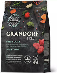 Grandorf Fresh Grandorf Fresh