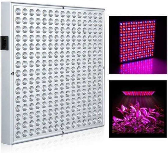 Grow Light with LED and Power 45W L31xW31xH3.3cm.