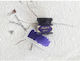 Hamburg Calligraphy Ink 30ml Lucrezia