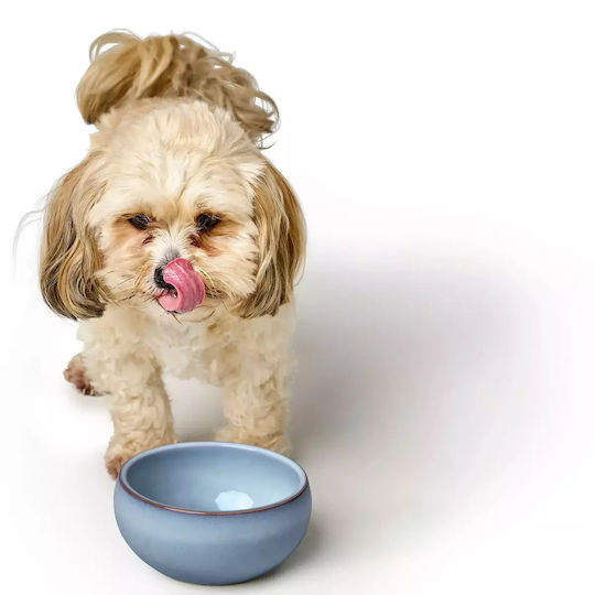 Hunter Ceramic Bowl Food & Water for Dog & Cat with Base 310ml