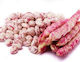 Evotris Seeds Bean Barbouni 20gr