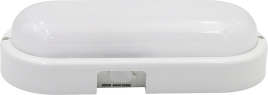 Adeleq Wall-Mounted Bulkhead Outdoor LED IP65 20W With Adjustable White Light 10x23x5cm