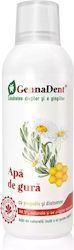 Vivanatura Gegen Parodontitis 500ml