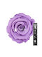 Αποχυμωμένα Τριαντάφυλλα Rose Amor 30cm Stem Violet 03