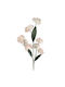 Foam Branch Light Pink Gardenia X8 Flowers Φ95x25cm 4/32kib