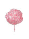 Αποχυμωμένη Ορτανσία Rose Amor Hydrangea Xl Pin99