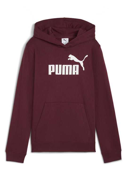 PUMA Kids Sweatshirt with Hood Burgundy Hoodie Fl
