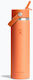 Hydro Flask Stainless Steel Thermos Bottle 710ml Nectar