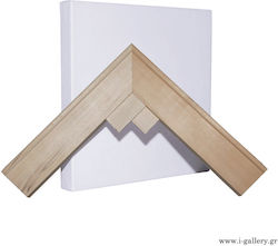 Stapled Thick Painting Canvases with Wedges 40x...