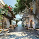 Olympus Diamond Painting "Picturesque Village on an Island in Greece" Mosaic "Picturesque Village Some Island of Greece" 50x40