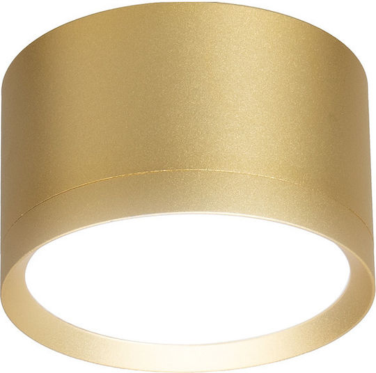 Eko Light Monos Spot cu Soclu null în Culoare Auriu