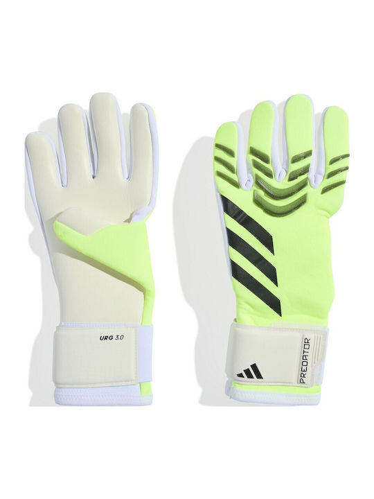 adidas Pred Gl Lge Torwarthandschuhe Erwachsene Grün