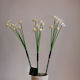 Eurolamp Solar Light Flower Warm White with Photocell IP44