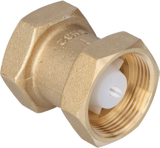 Threaded Internal Check Valve Type 601 5/4 Inch