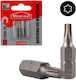 Screwdriver Bit Type Torx-20 S2