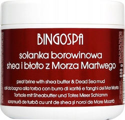 BingoSpa Maske Καθαρισμόύ, Αποτοξίνωσης & Nährend für Körper 600gr 1Stück